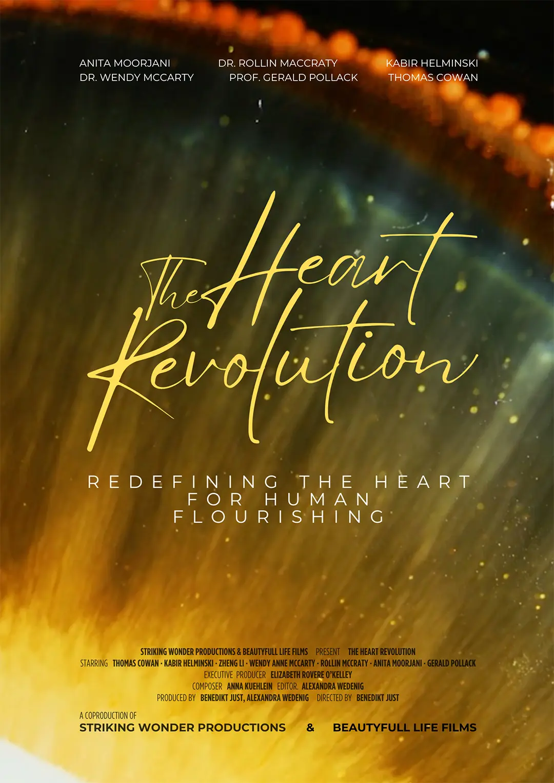 The Heart Revolution Poster