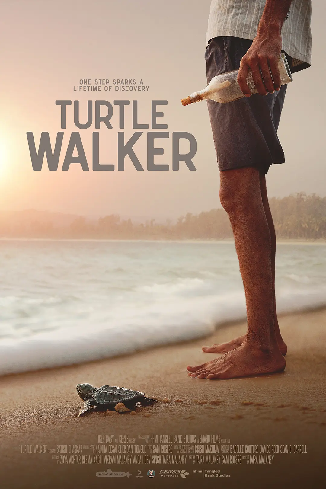 Turtle Walker Poster