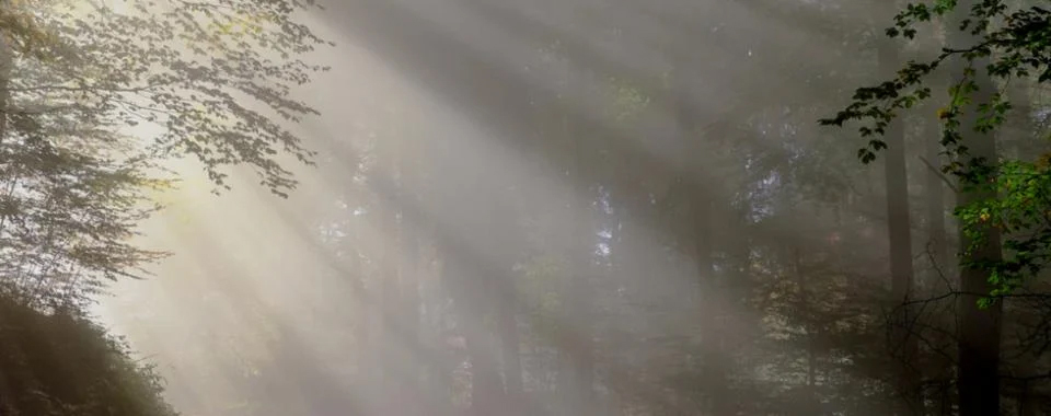 The Medicine of Movies with Sheva Carr